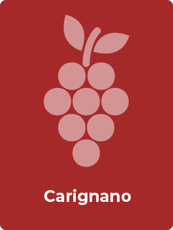Carignano druif