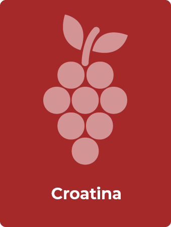 Croatina druif