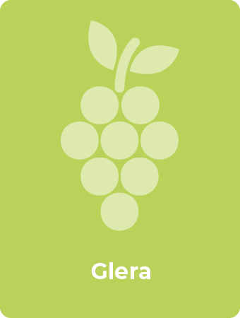 Glera druif