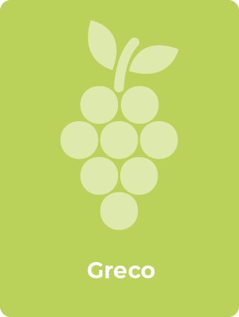 Greco druif