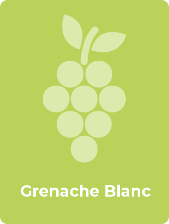 Grenache Blanc druif