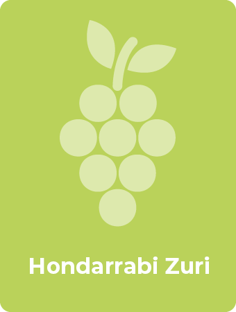 Hondarrabi Zuri druif