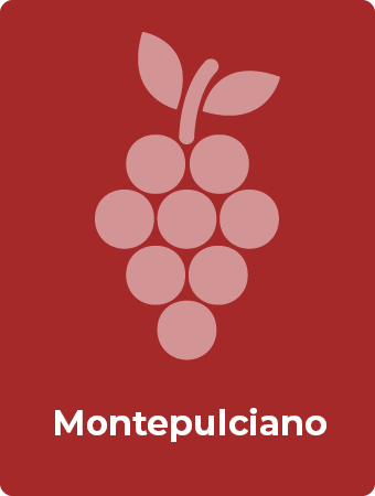 Montepulciano druif