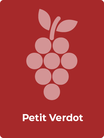 Petit Verdot druif
