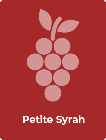 Petite Syrah druif