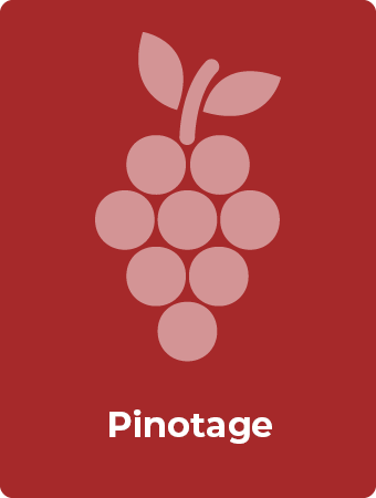 Pinotage druif