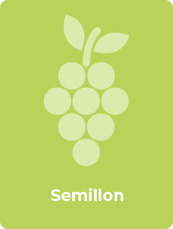 Semillon druif
