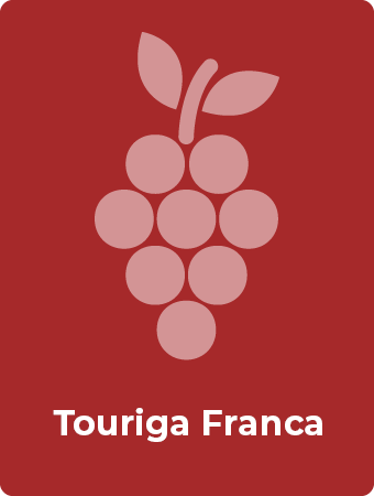 Touriga Franca druif