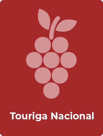 Touriga Nacional druif