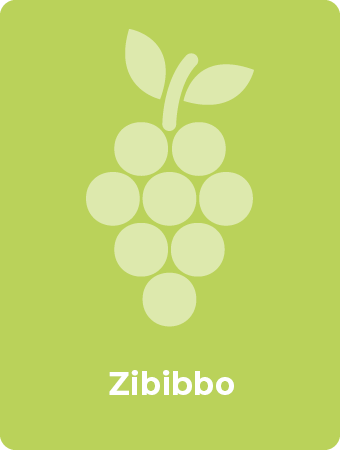 Zibibbo druif