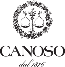 Canoso